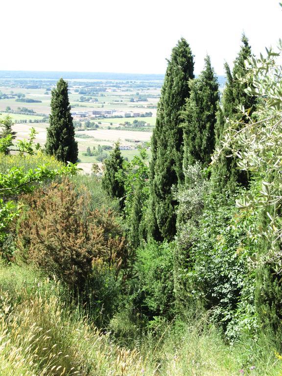 Agriturismo La Grotta 圣朱利亚诺-泰尔梅 外观 照片